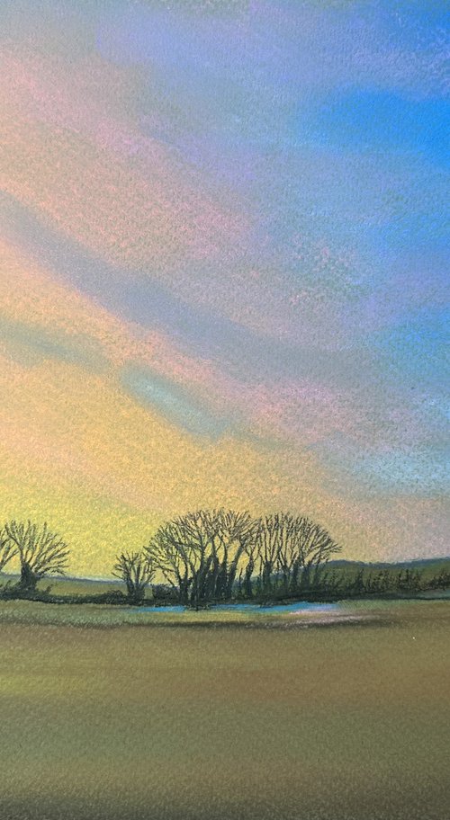 Sunset trees Norfolk Landscape Art by Catherine Winget