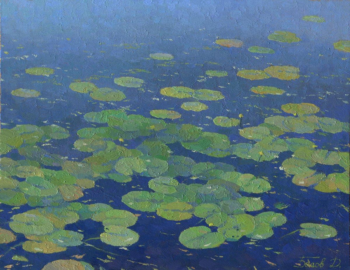 Water lilies by Daniil Belov