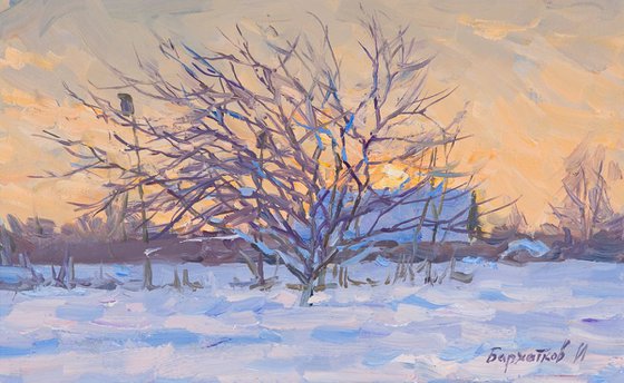 A Winter Study