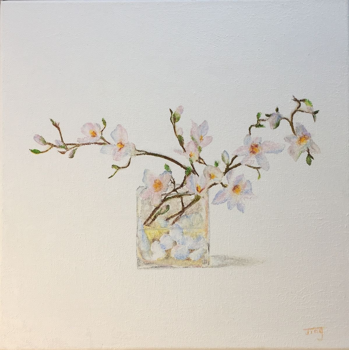 Magnolia by Jing Tian