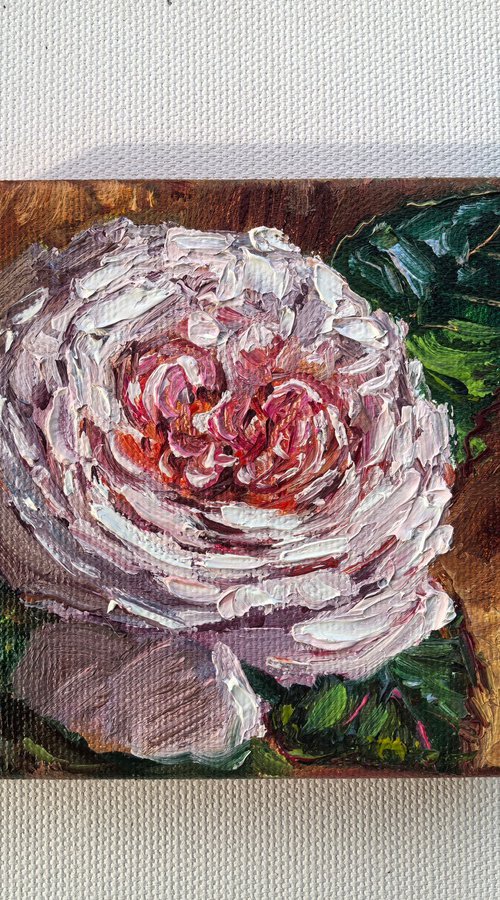 Pink rose original mini still life by Leyla Demir