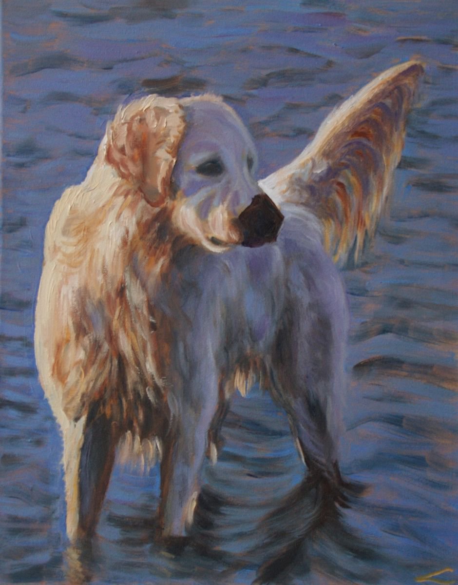 Dog at the sea by Elena Sokolova