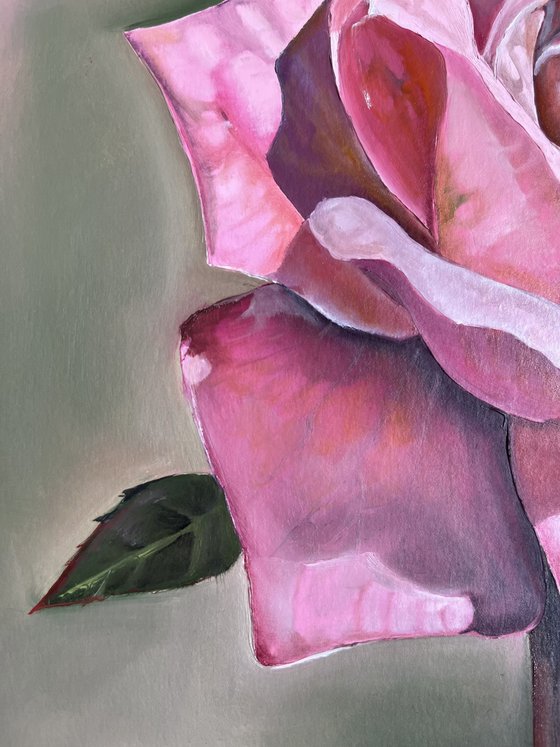 Pink rose oil on paper