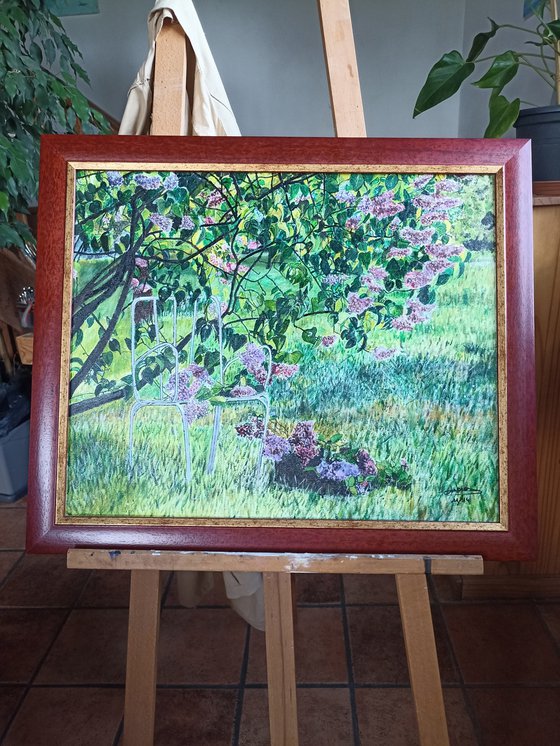 Lilac garden