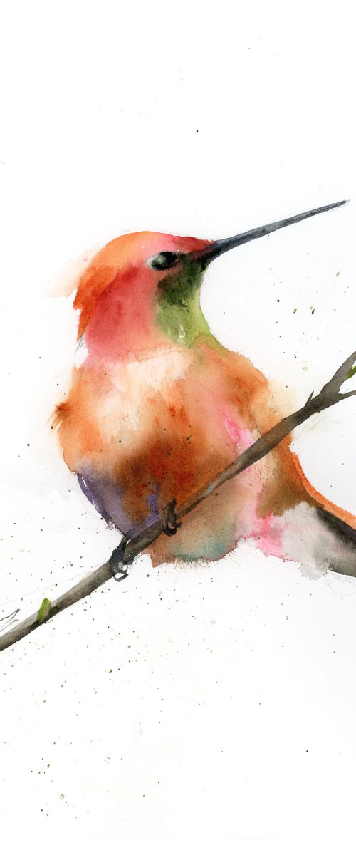 Hummingbird on a branch by Olga Tchefranov (Shefranov)
