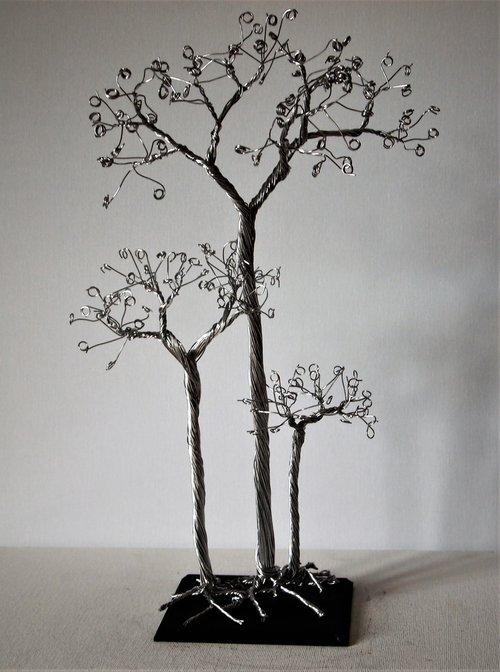 Silver tree, 3 Aspen's by Steph Morgan
