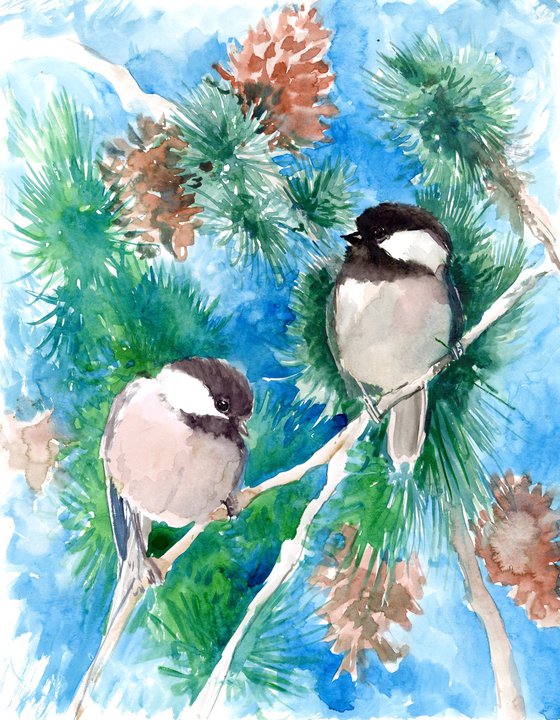 Chickadees on Pine Tree