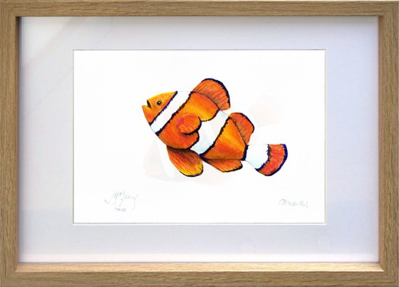 Clown Fish (Nemo)