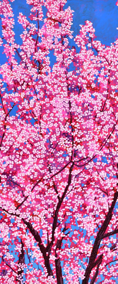 Cherry Blossom #11 by Alex Nizovsky