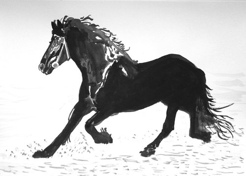 Horse  / 42 x 29.7 cm by Alexandra Djokic