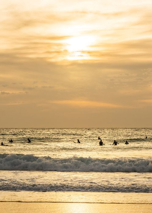 GOLDEN SURFERS by Andrew Lever