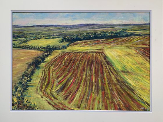 Ploughed Patterns, Wiltshire