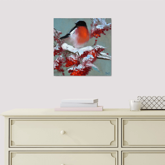 Bullfinch on a snowy rowan branch