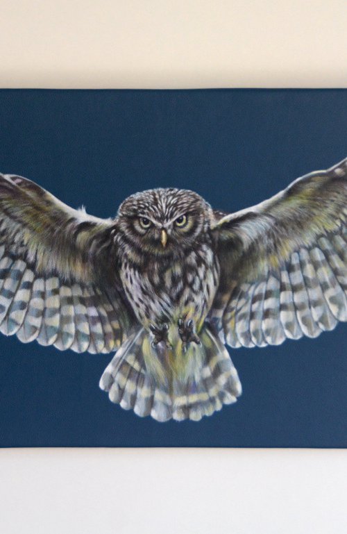 Swooping Owl by Karl Hamilton-Cox