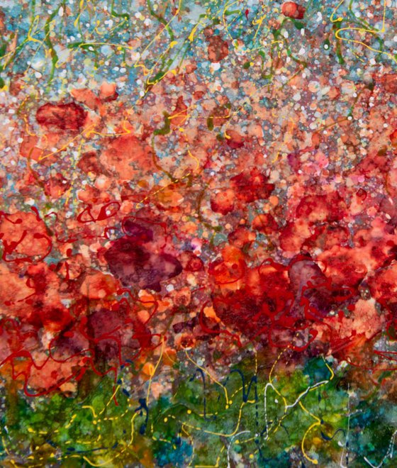 Field of Spring Poppies by @OLenaArt