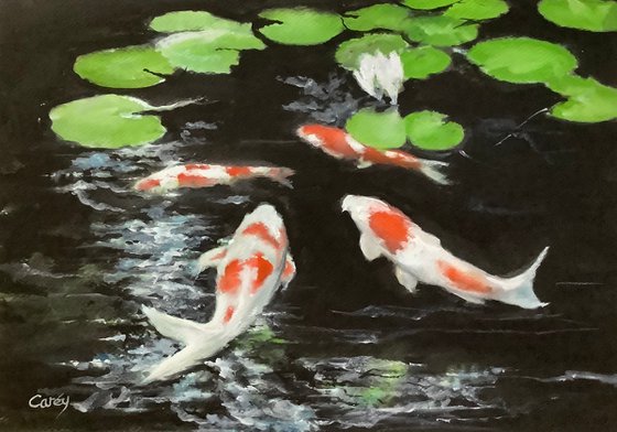 Koi