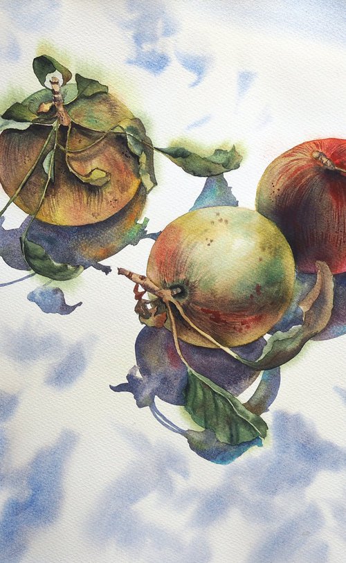Still life with apples by Delnara El