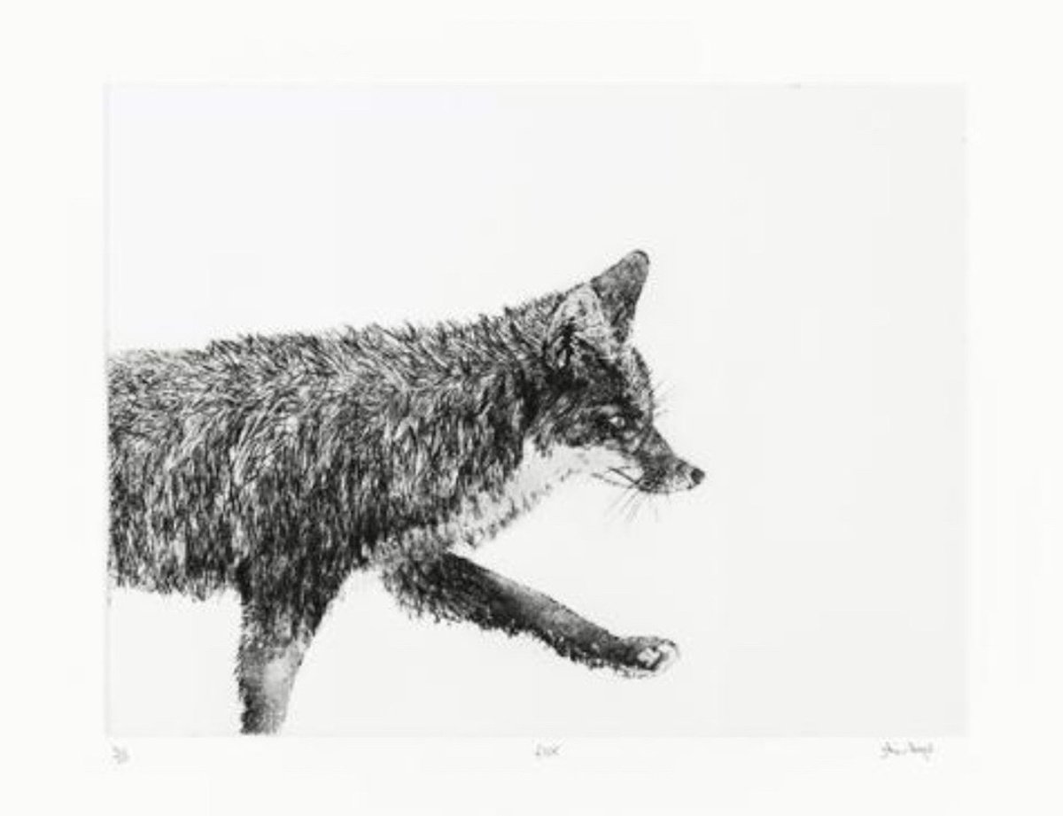 Fox by Julie Dyer