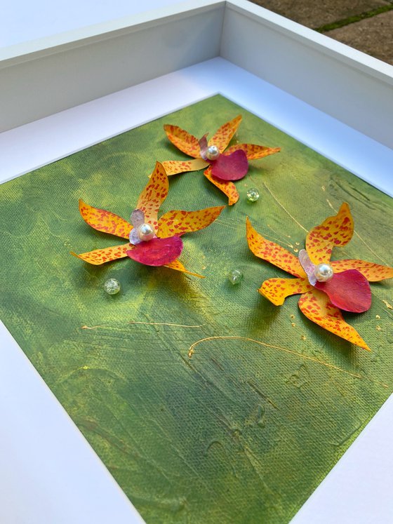 Orchid Reverie-1