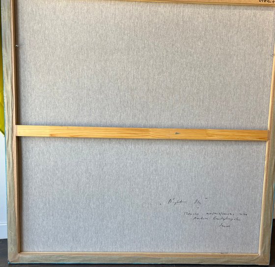 Night fly.120x120 acr.mix.canv.2024