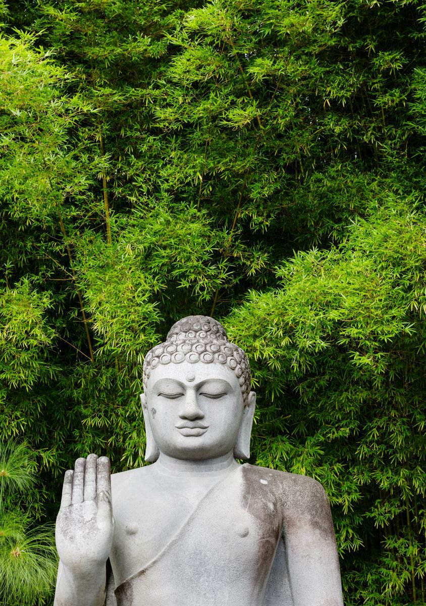 Buddha and Bamboo (84x119cm) by Tom Hanslien