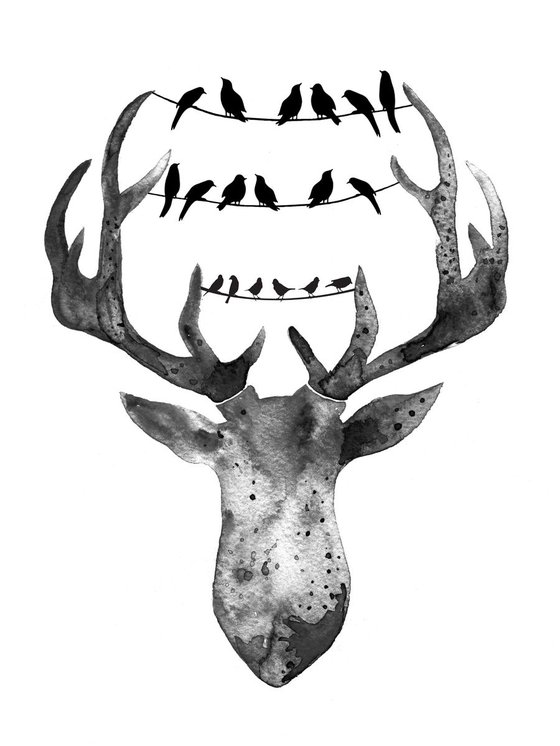 Deer with birds