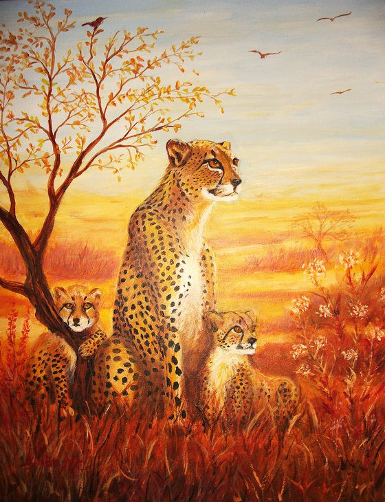 CHEETAH FAMILY