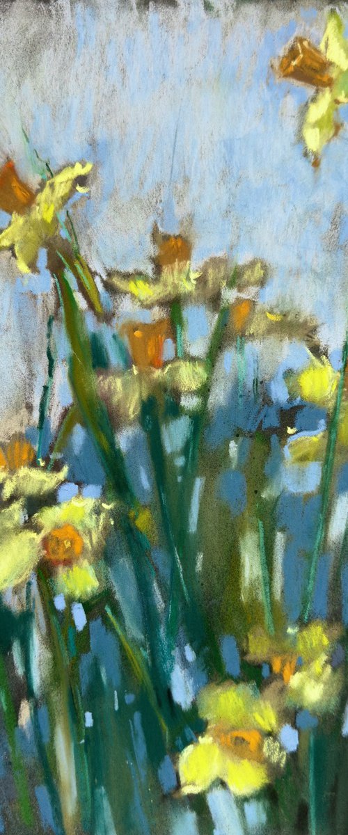 Spring flowers. Daffodils by Olha Laptieva
