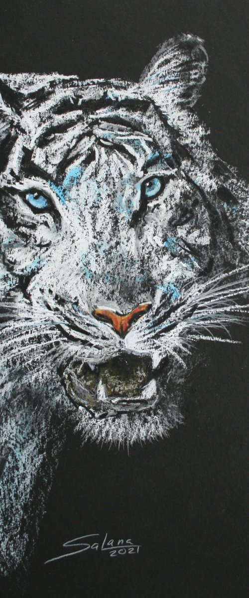 White Tiger /  ORIGINAL PAINTING by Salana Art / Svetlana Samovarova