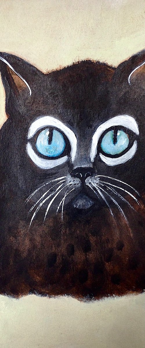 Blue eyes Burmese by Eleanor Gabriel