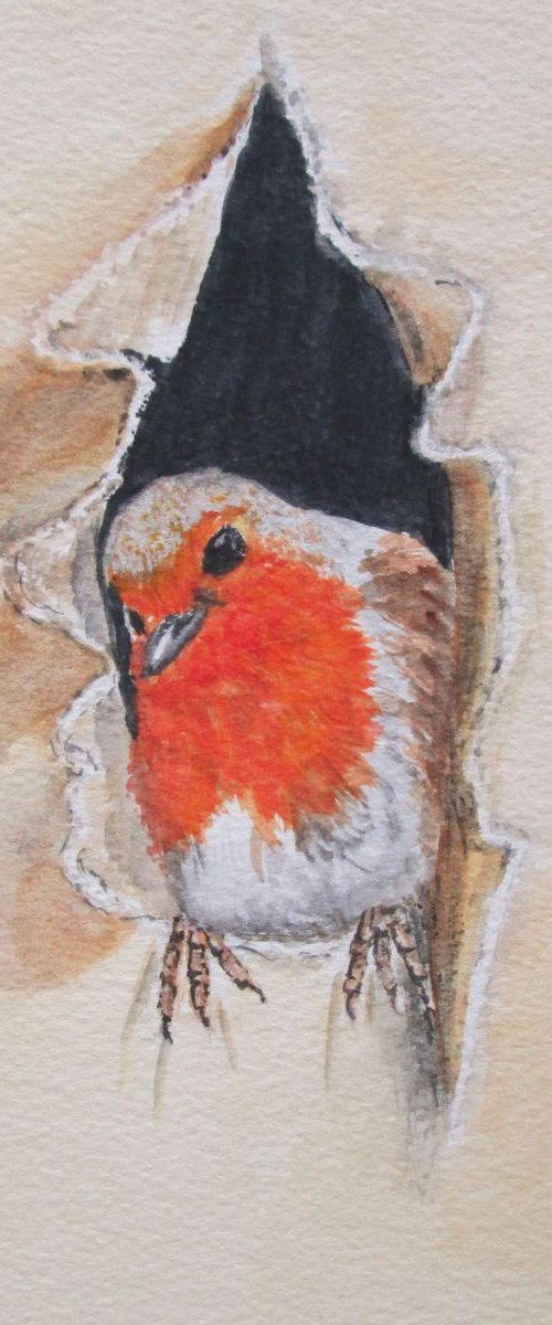 Robin Redbreast Garden Bird by MARJANSART