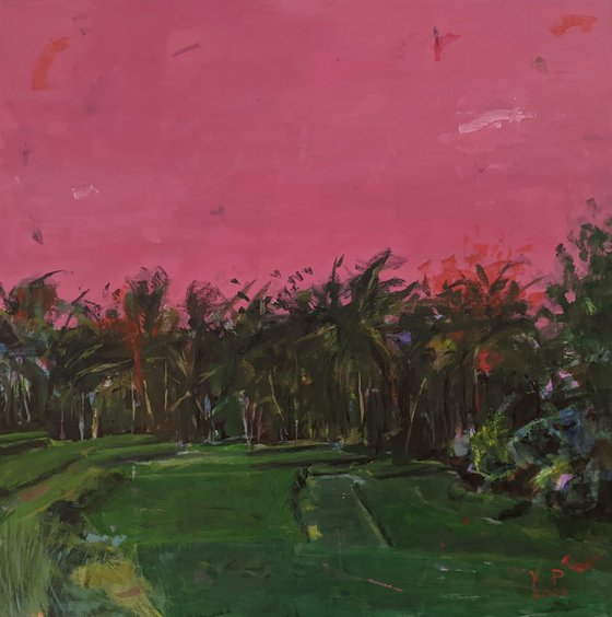 Rice Fields in Bali