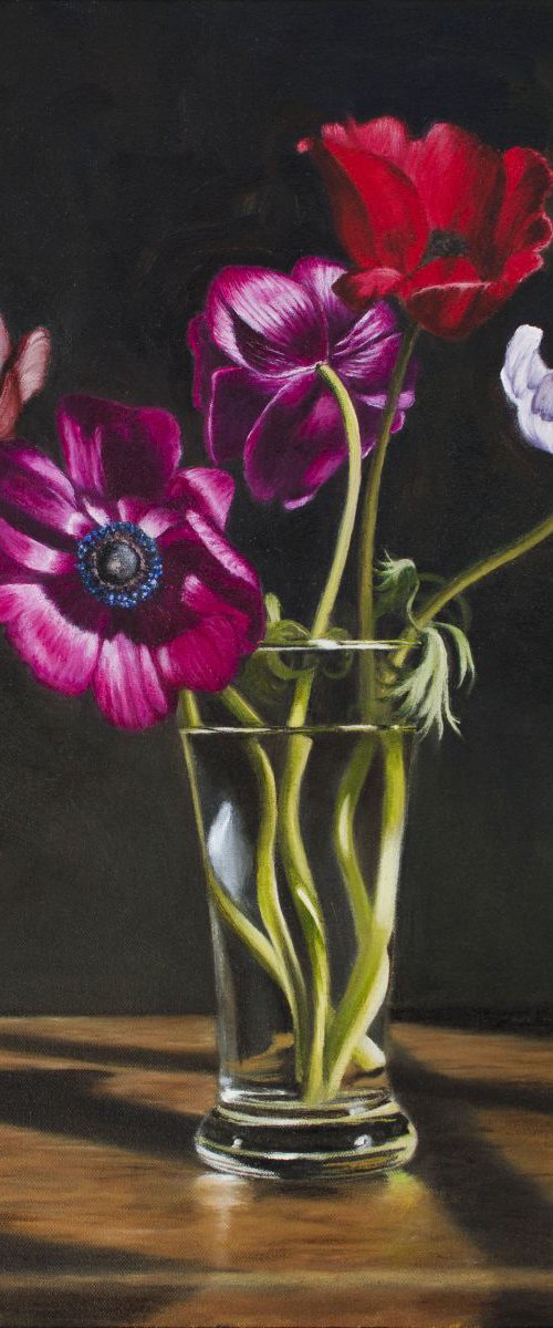 Anemones from Cornwall by Andrew McNeile Jones