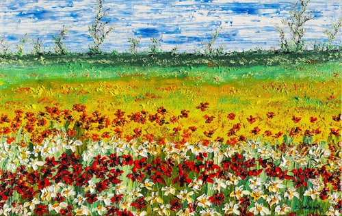 Colored meadow 1 by Daniel Urbaník