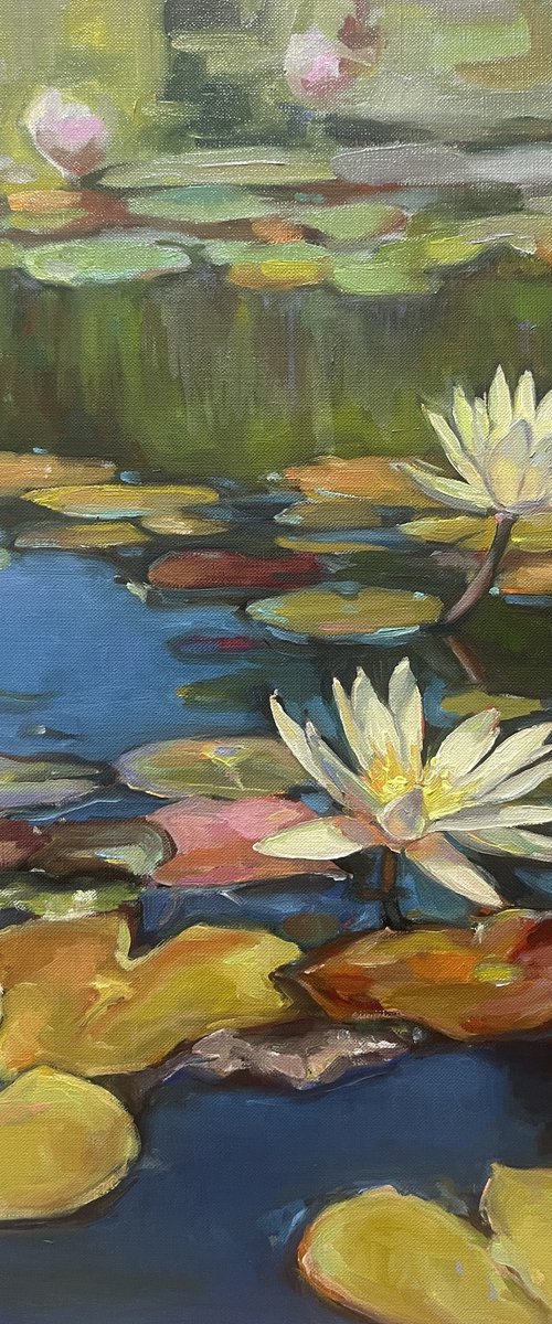 Water lilies by Guzel Min