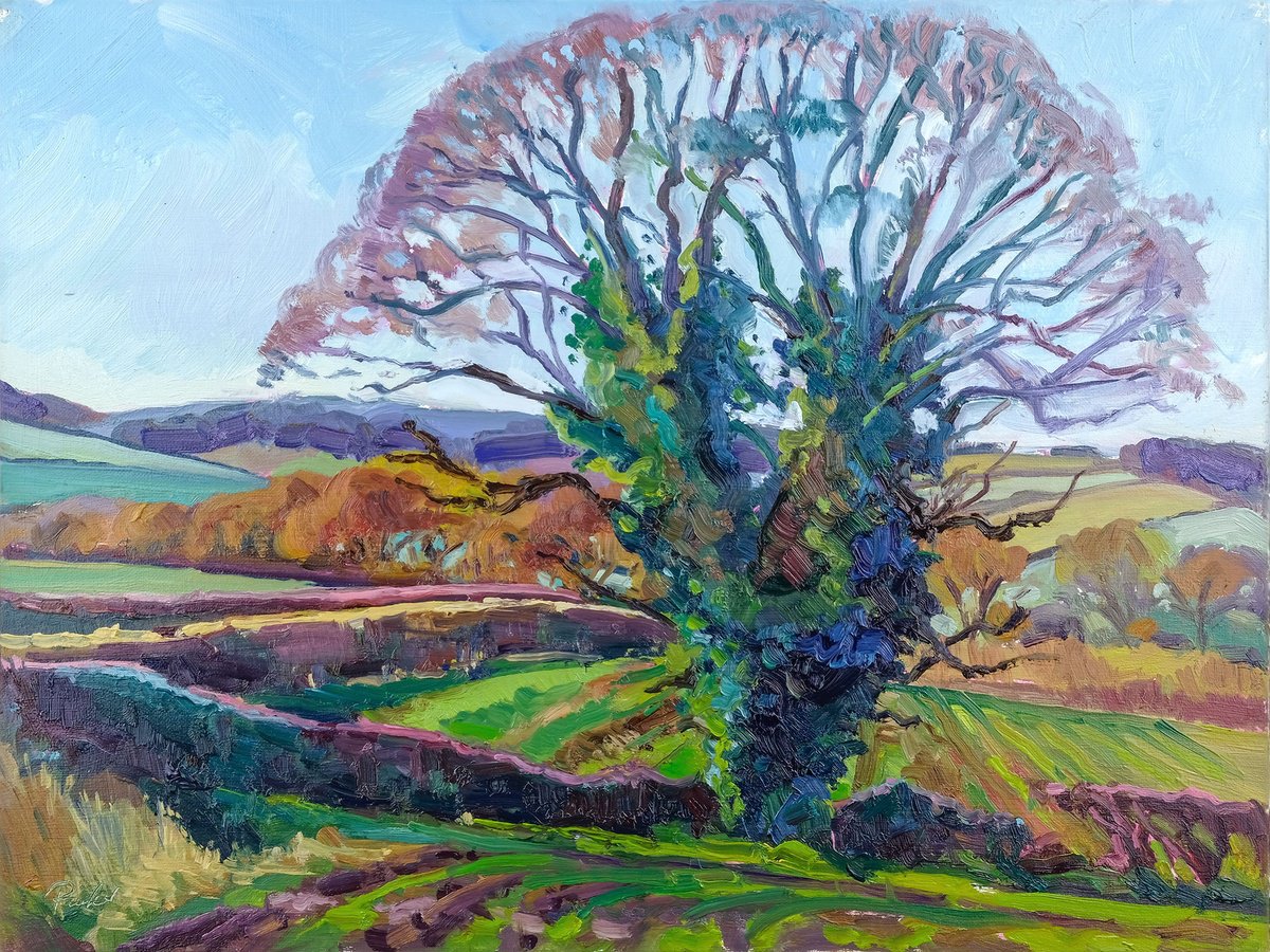Impressionistic Landscape Oil Painting By Jeff Parker, 16 X 12, November Oak, Terrington, Original Artwork