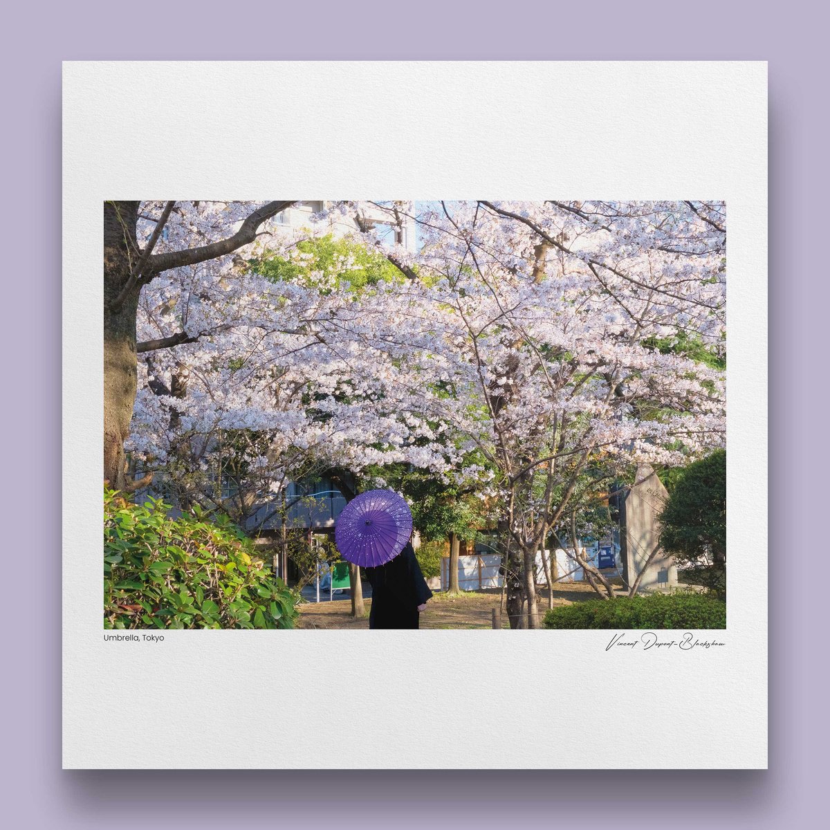 Urban And Pop Portrait Photograph By Vincent Dupont-Blackshaw, 20 X 20", Umbrella, Original Artwork