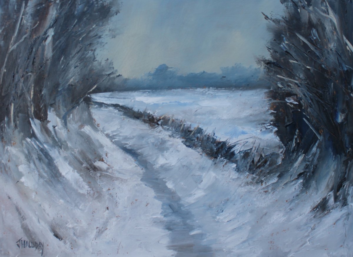 Snowfall by John Halliday