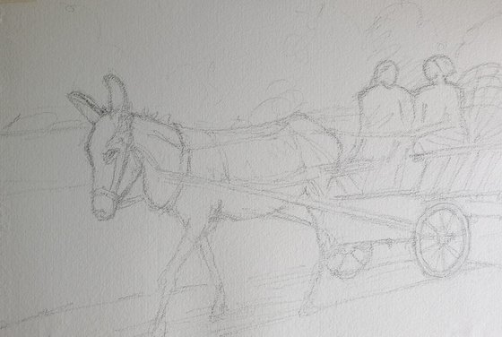 Scena d'epoca / vintage scene - carro trainato da un mulo / cart pulled by a mule