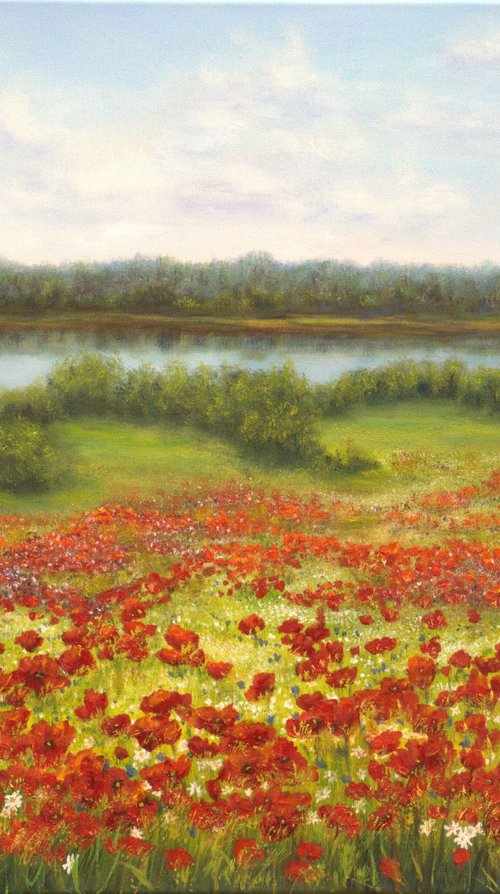 Poppy field by Ludmilla Ukrow