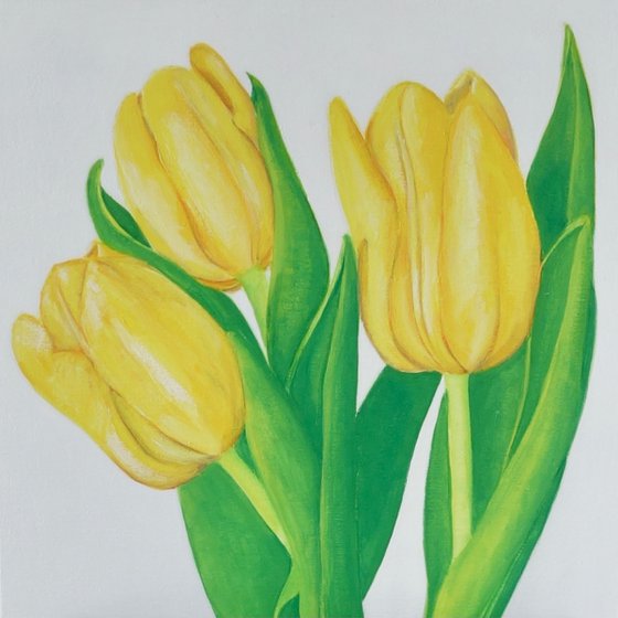 Yellow Tulips