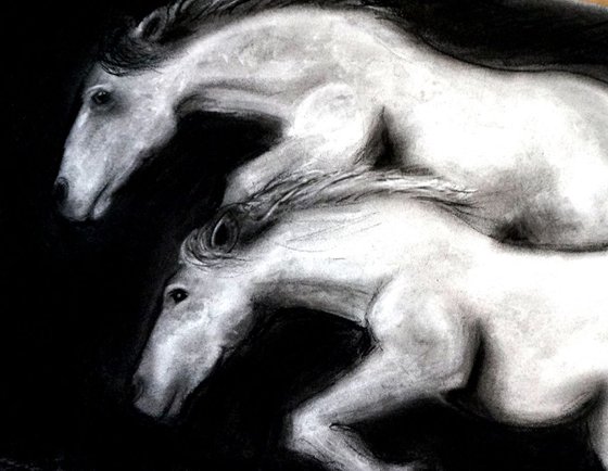 Two Horses Leaping