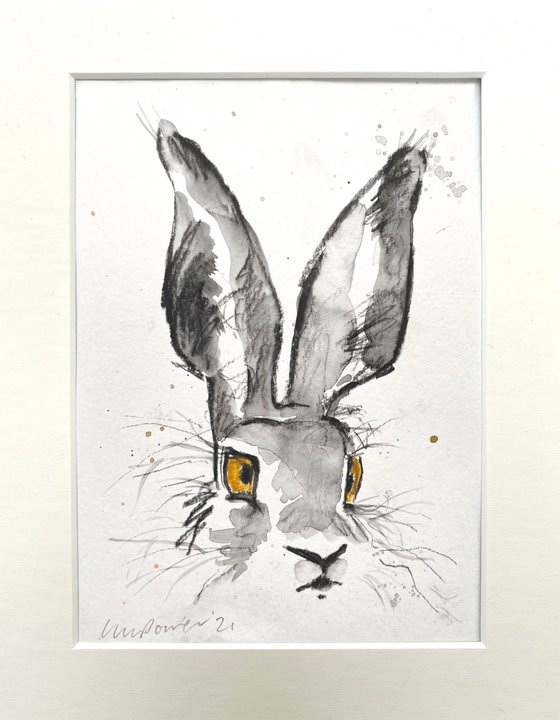 Watchful Charcoal Hare #02