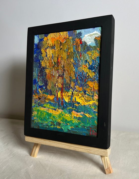 Sunbeams on the meadows