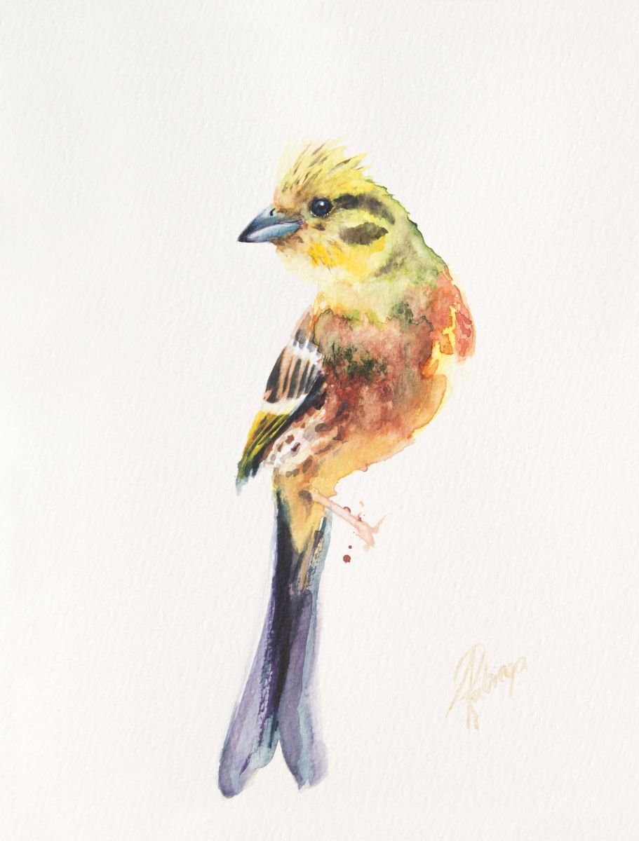 Illustrative Animal Watercolour By Andrzej Rabiega, 9 X 12, Yellowhammer, Original Artwork
