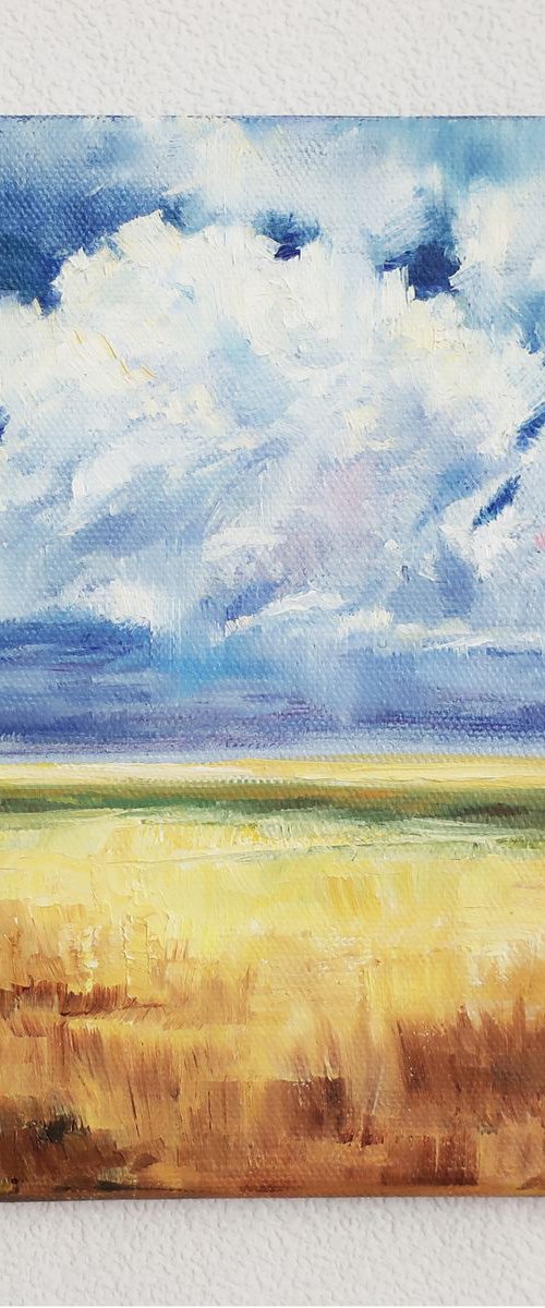 Field by Anna Shchapova
