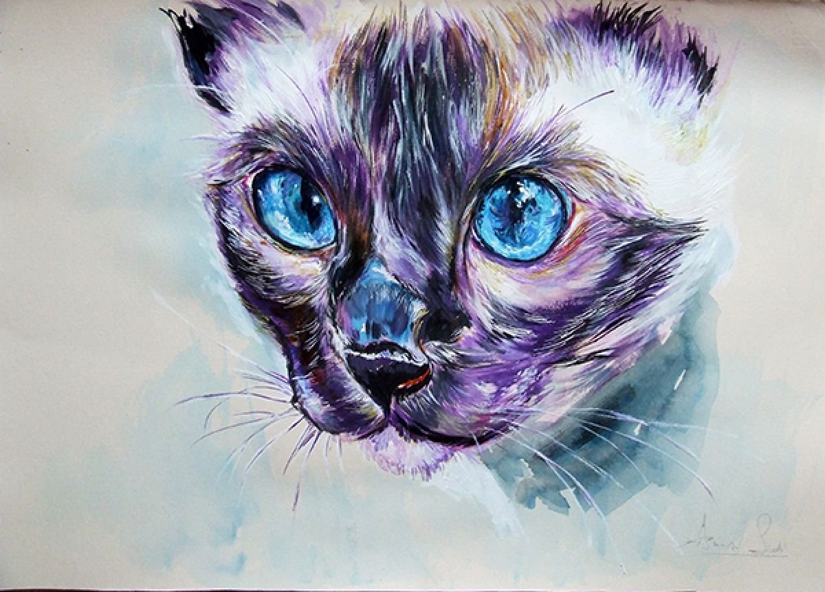 Tonkinese - Portrait of a Cat by Anna Sidi-Yacoub