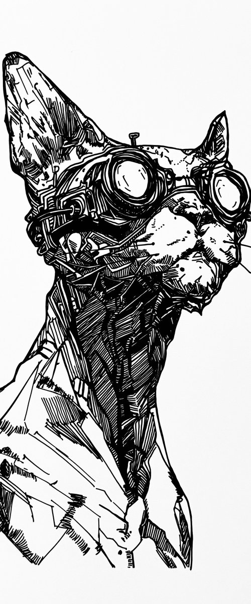 Goggle Cat by Lola Jovan