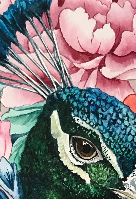 Peacock and Flowers