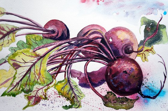 Beetroot Study